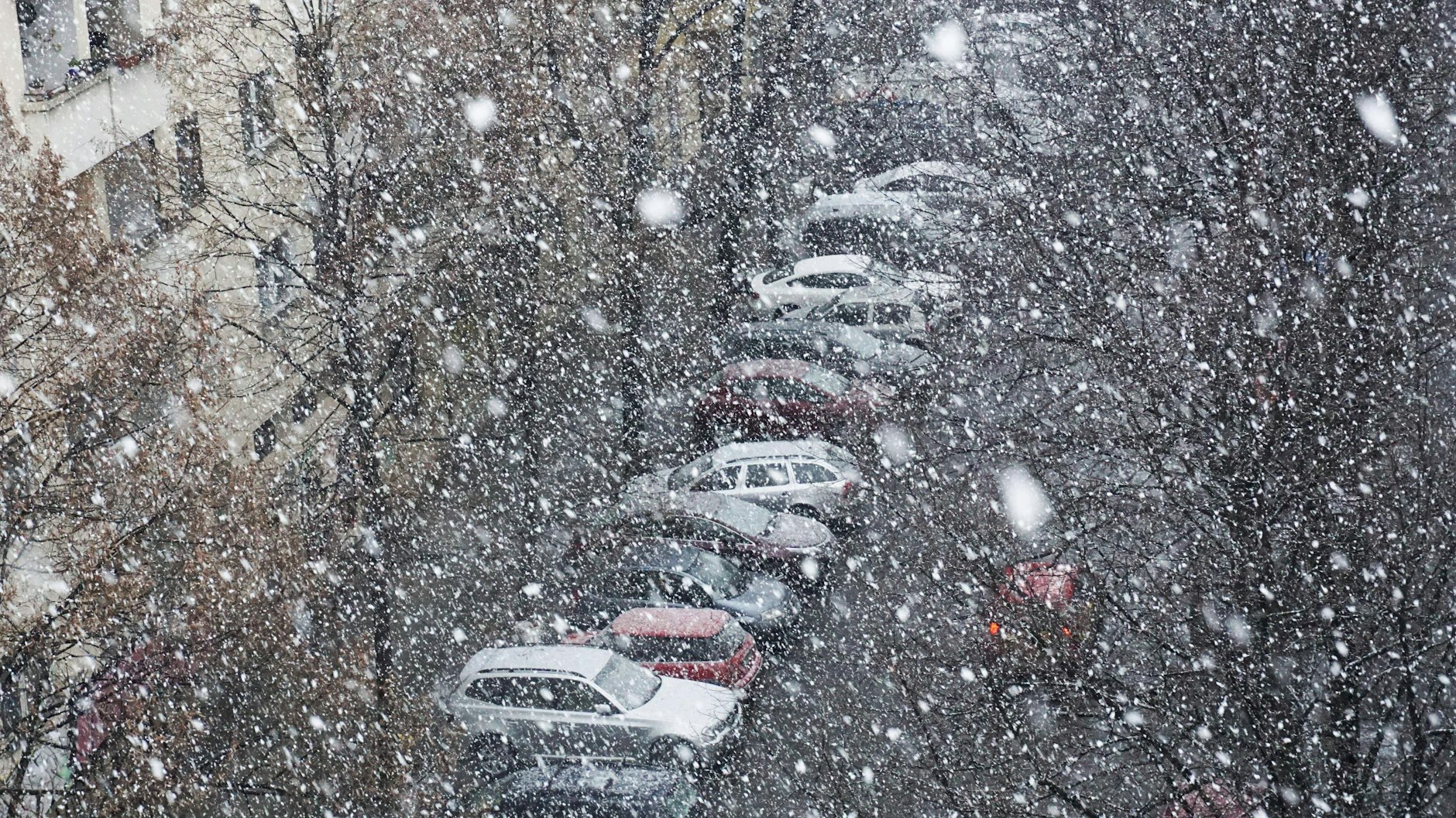 Die Meteorologen rechnen mit Schneegriesel, doch liegen bleiben wird davon wohl vorerst nichts.