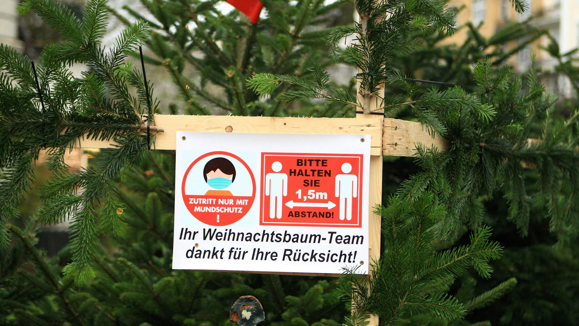 Abstand auch beim Weihnachtsbaum-Kauf: Die Corona-Pandemie schränkt unser Leben bis ins kommende Jahr ein.