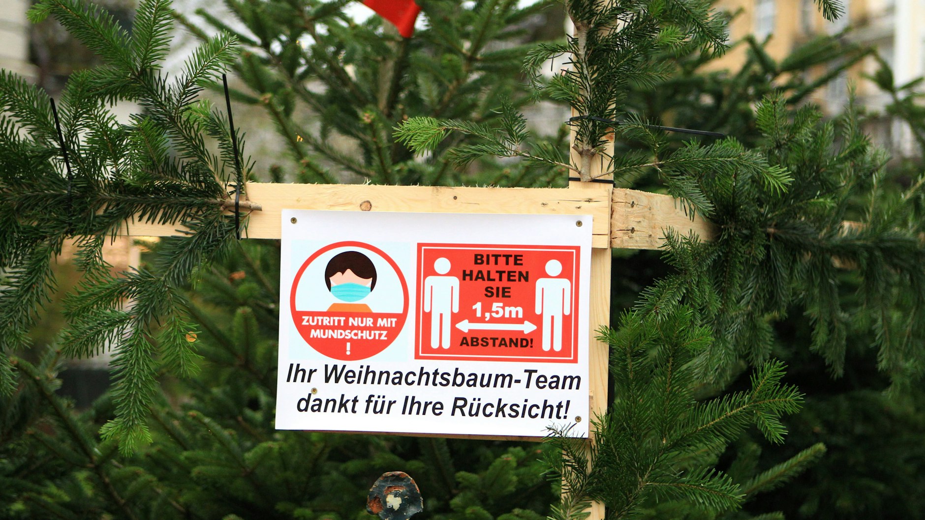 Abstand auch beim Weihnachtsbaum-Kauf: Die Corona-Pandemie schränkt unser Leben bis ins kommende Jahr ein.