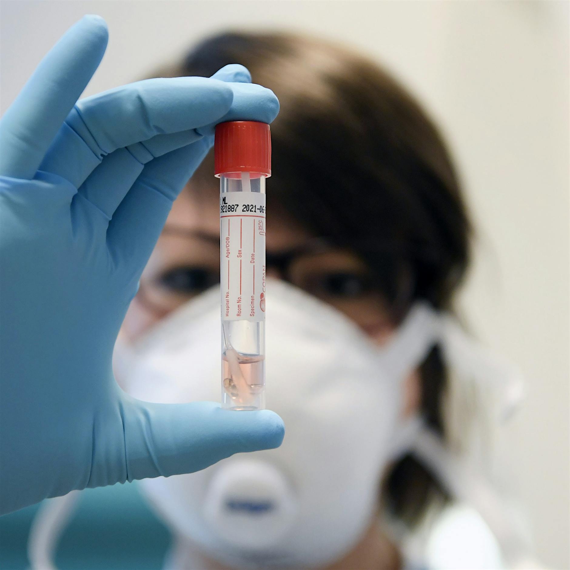 Das Coronatest-Programm für Berliner Schulen und Kitas