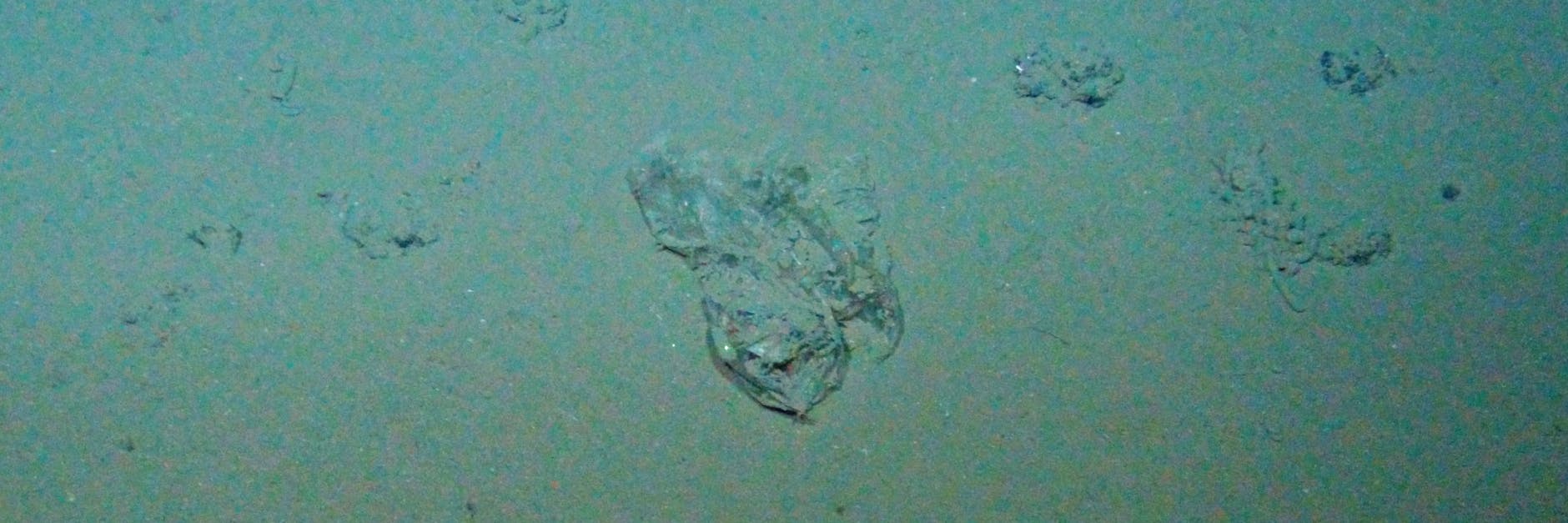 Eine Plastiktüte liegt am Meeresboden, auch nach Jahrzehnten im Wasser ist sie noch so gut wie neu.