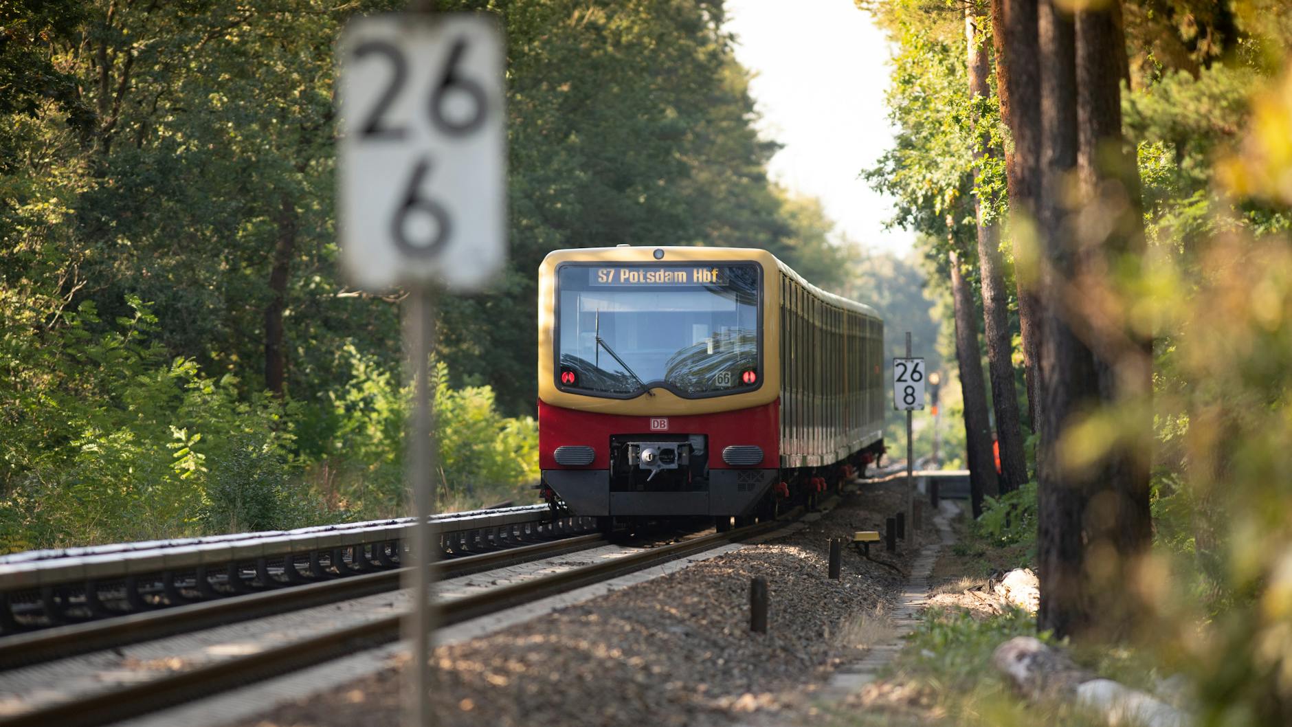 Ein Zug der Linie S7 unterwegs zwischen Wannsee und Griebnitzsee. Auch der Betrieb der Strecke nach Potsdam wird demnächst ausgeschrieben.