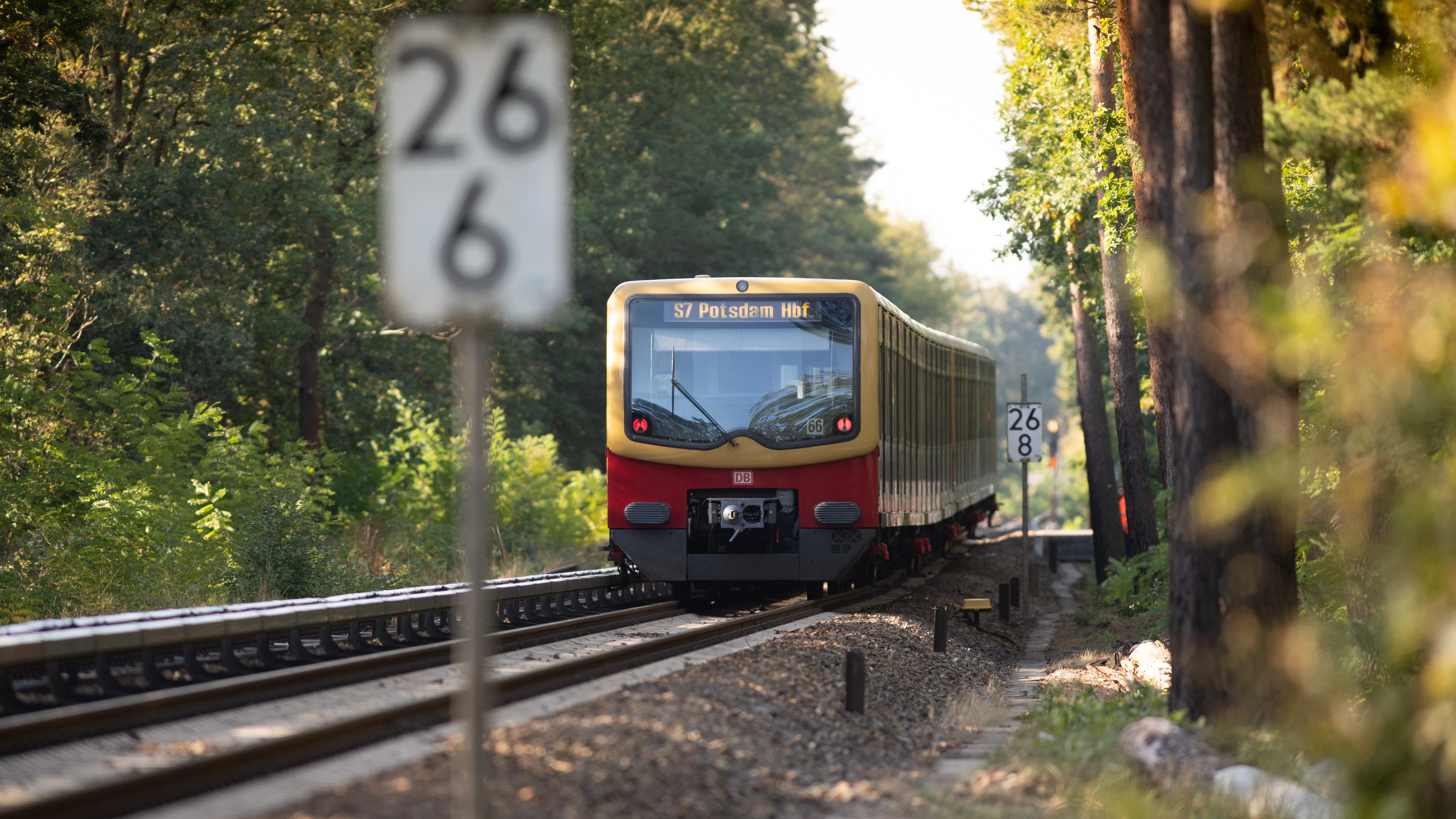 Ein Zug der Linie S7 unterwegs zwischen Wannsee und Griebnitzsee. Auch der Betrieb der Strecke nach Potsdam wird demnächst ausgeschrieben.