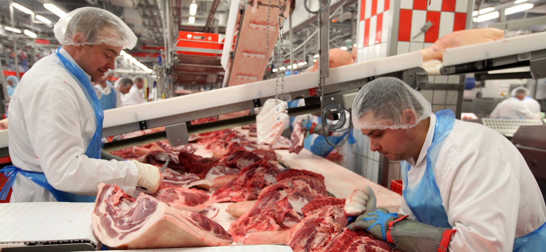 Bei Tönnies in Rheda-Wiedenbrück werden pro Tag 20.000 Schweine geschlachtet und zerlegt.