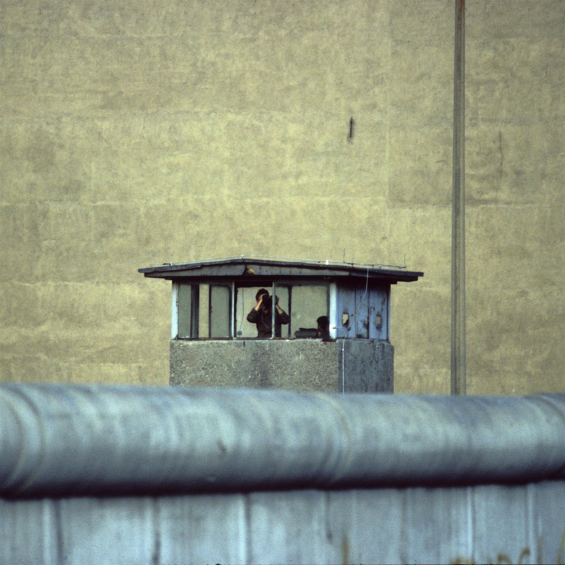 Warum die Clans in Berlin so mächtig werden konnten