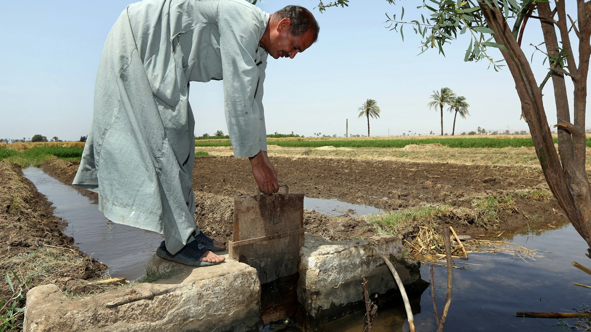 Ein ägyptischer Bauer versorgt seinen Acker mit Nil-Wasser.