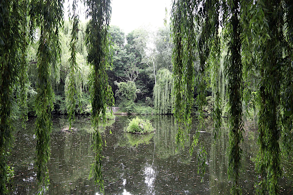 Der Teich im Ernst-Thälmann-Park droht zu kippen, wenn er nicht durch einen kleinen Wasserfall mit Sauerstoff versorgt wird.
