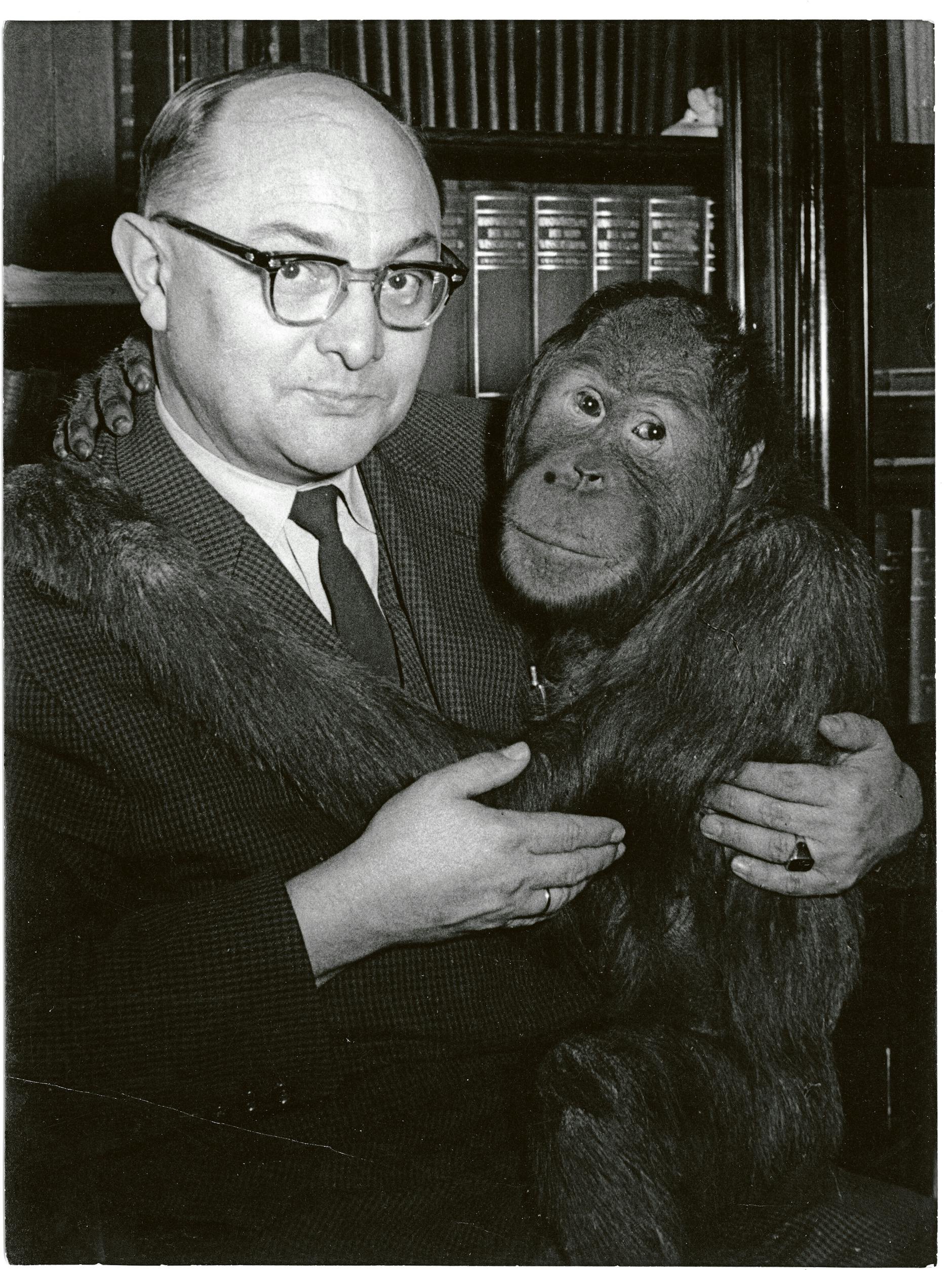 Prof. Heinrich Dathe zeigte sich gerne auch im Arbeitszimmer mit Tieren - hier mit Orang-Utan Jussup (1961).