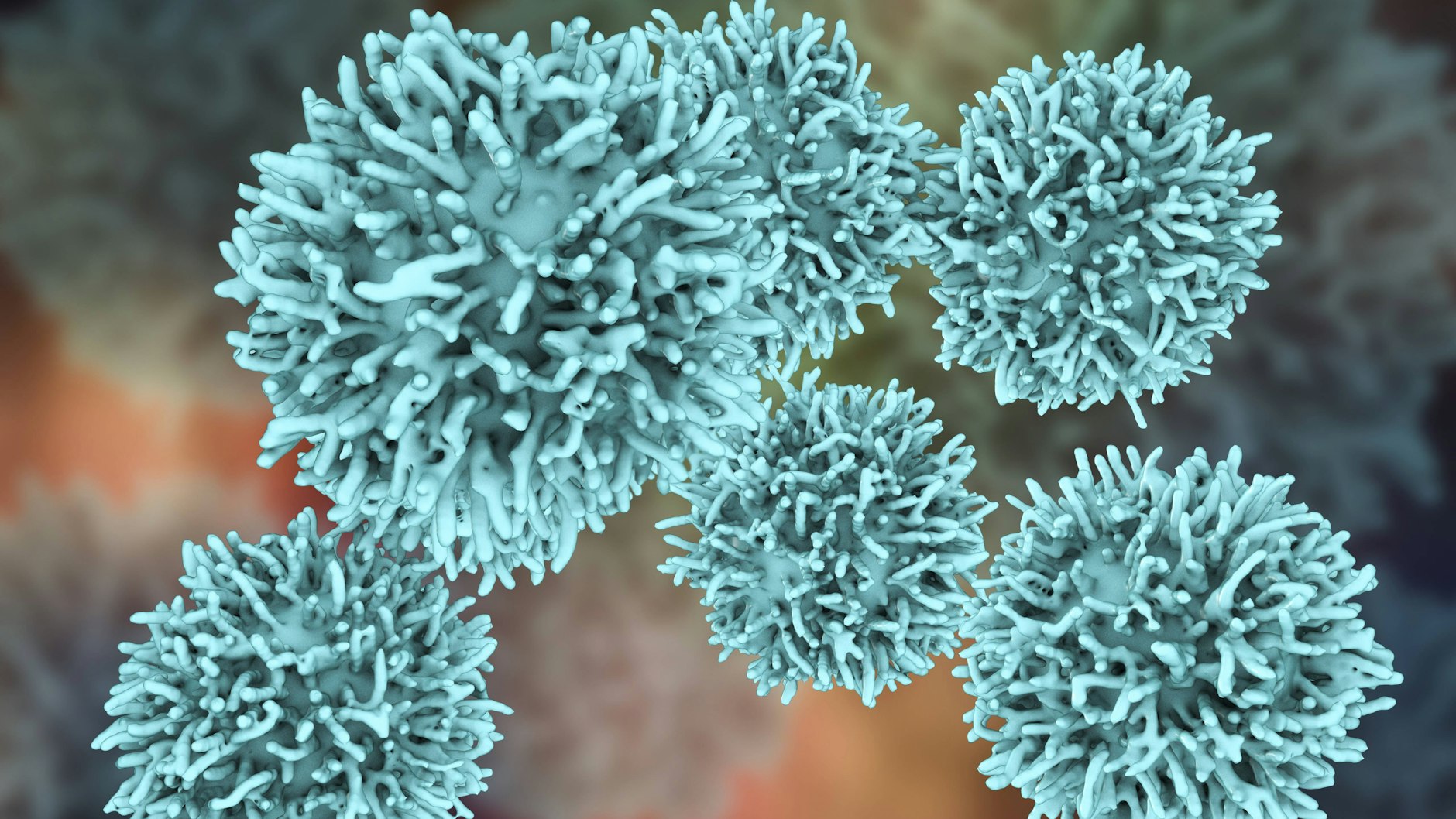 Sein persönliches Krebsrisiko kann man unter Umständen beeinflussen.