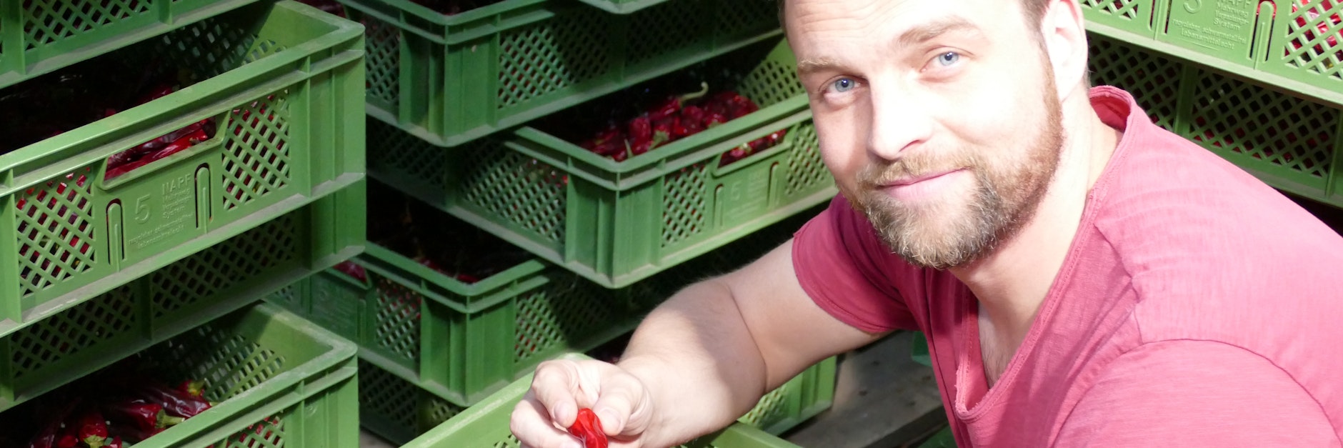 Kai Dräger testet die Konsistenz einer Chili-Sorte.