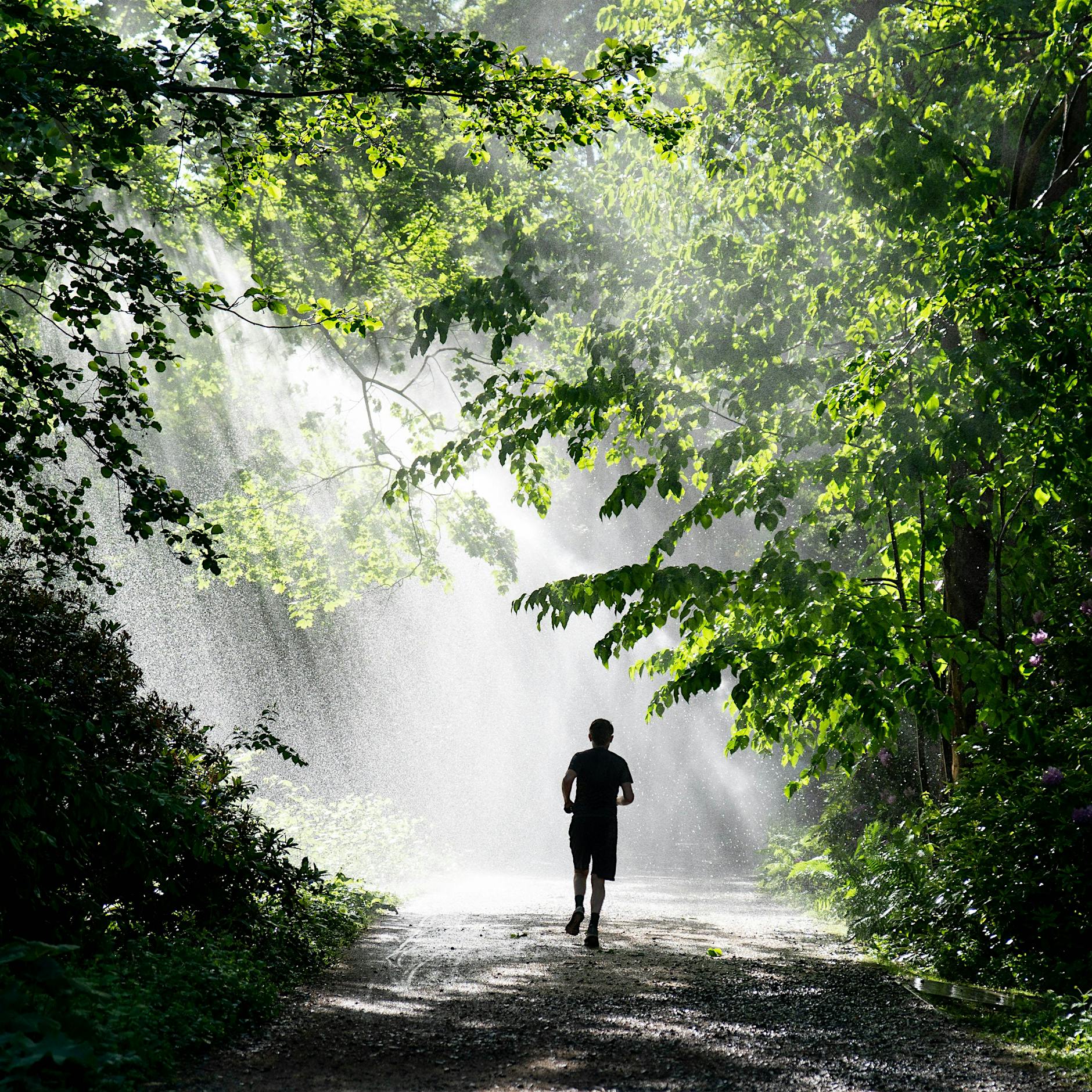 Darauf sollten Jogging-Anfänger achten