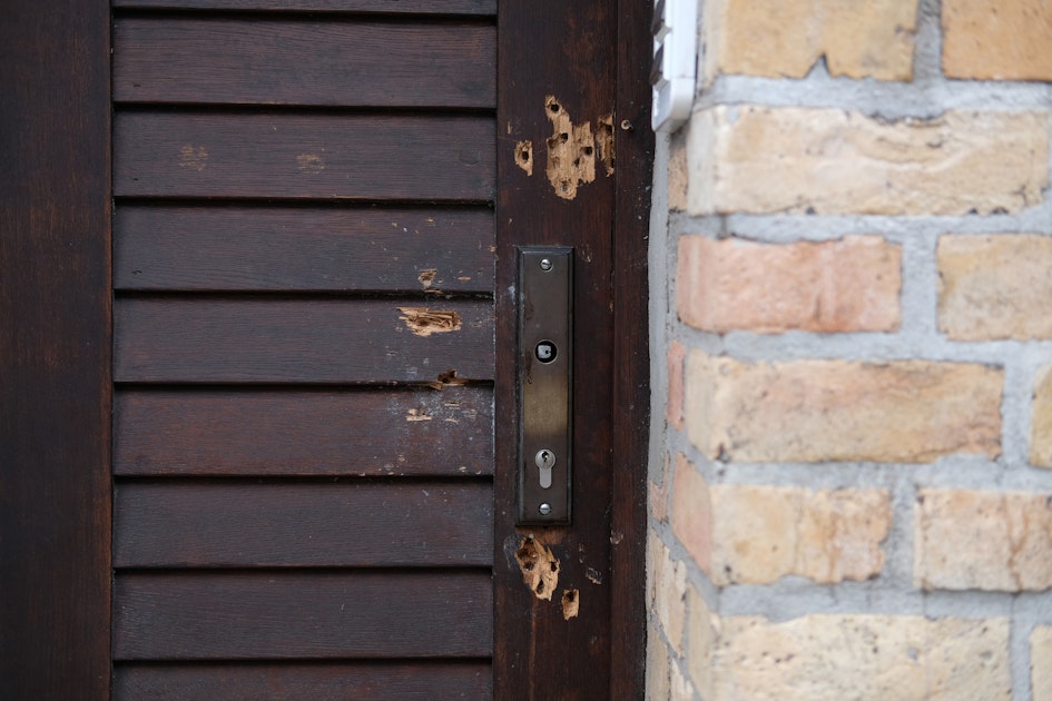 Hinter der Tür der Synagoge von Halle