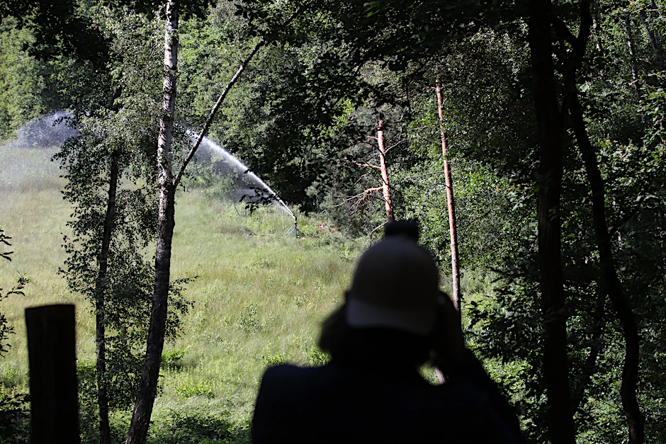 Ein Wassersprenger am Waldrand schießt das künstlich erzeugte Regenwasser aufs Moor des einstigen Barssees.