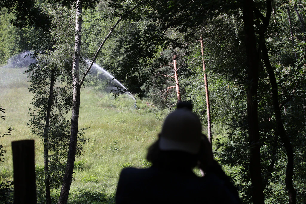 Rettungsaktion für Berliner Moor: Künstlicher Regen im Grunewald
