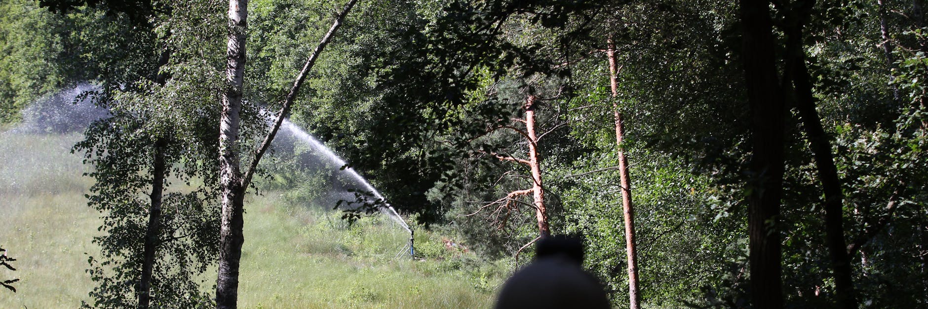 Ein Wassersprenger schießt nährstoffarmes Wasser vom Waldrand über das Barssee-Moor.