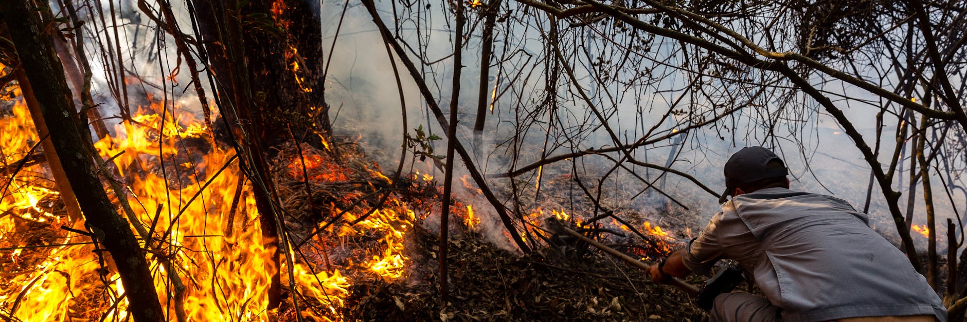 Ein Feuerwehrmann versucht in Brasilien einen Waldbrand zu löschen.