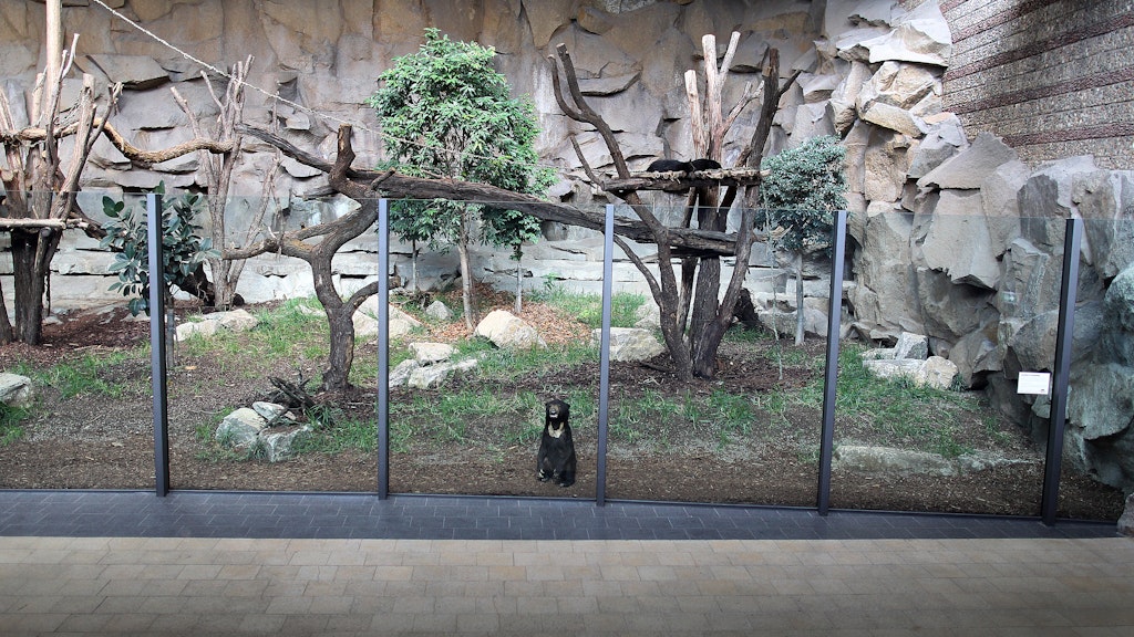 Jetzt tobt im Tierpark der Dschungel