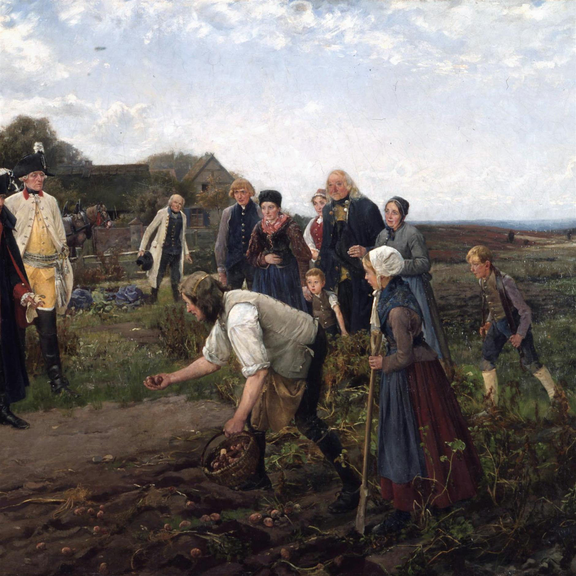 Der Mohr verlangt die Freiheit