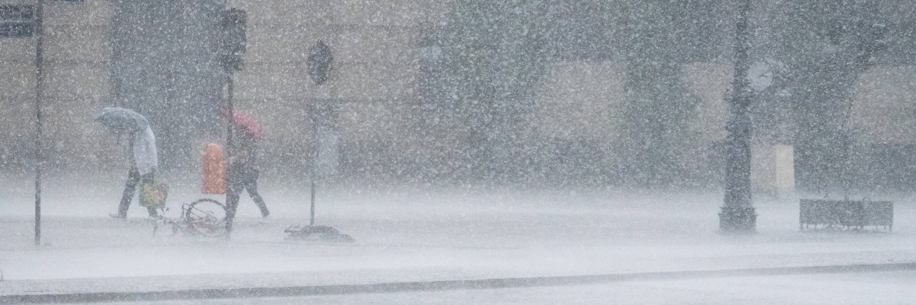 Starker Regen und Hagel überfluteten die Straßen im Nordosten der Stadt. Lokale Fallböen brachten Bäume zum Umstürzen und deckten Häuser ab.