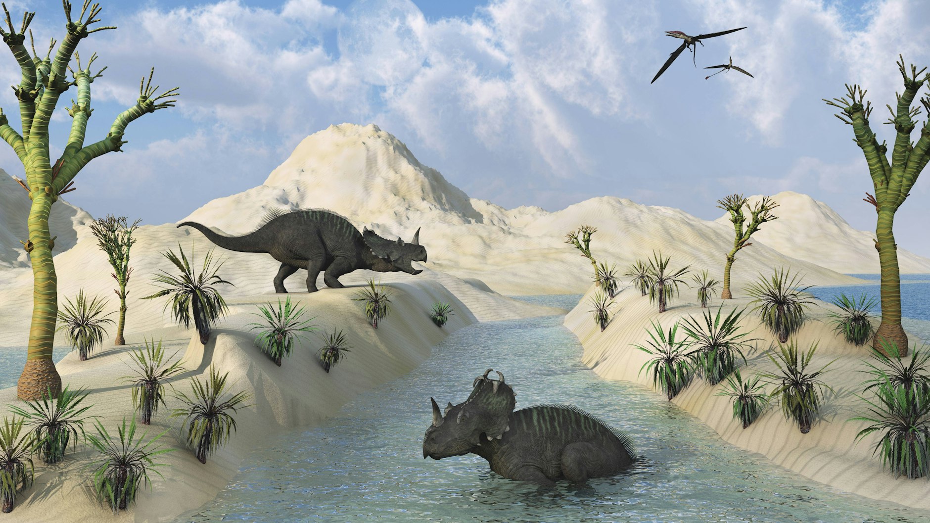 Sie wogen etwa drei Tonnen und wurden bis zu sechs Meter lang: Dinosaurier der Gattung Centrosaurus. Die Illustration zeigt sie in einer kreidezeitlichen Landschaft.&nbsp;