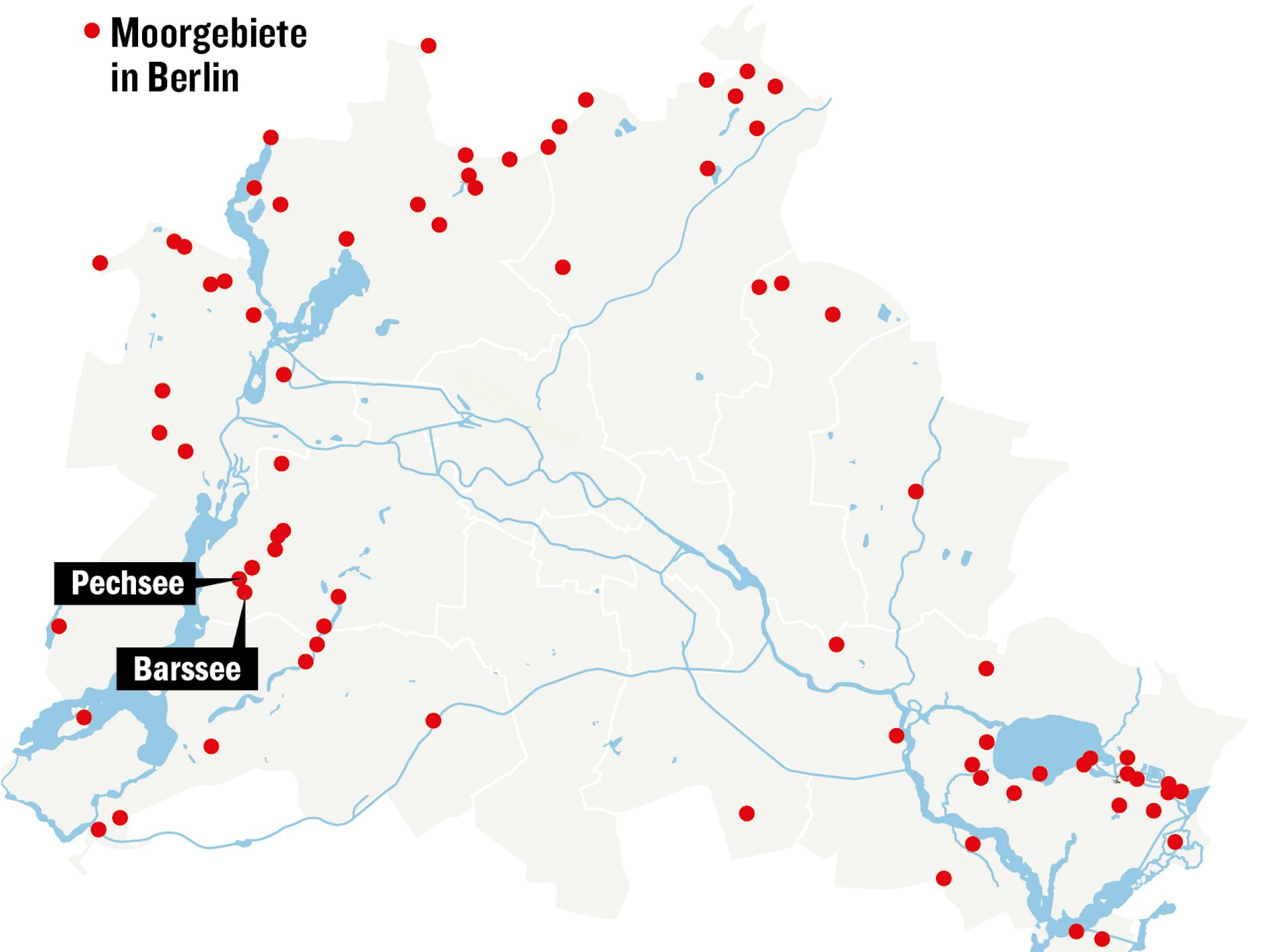 Die Moore Berlins finden sich vorwiegend am Rand der Stadt. Der Barssee und der Pechsee, deren Entwicklung jetzt verglichen wird, liegen im Grunewald.