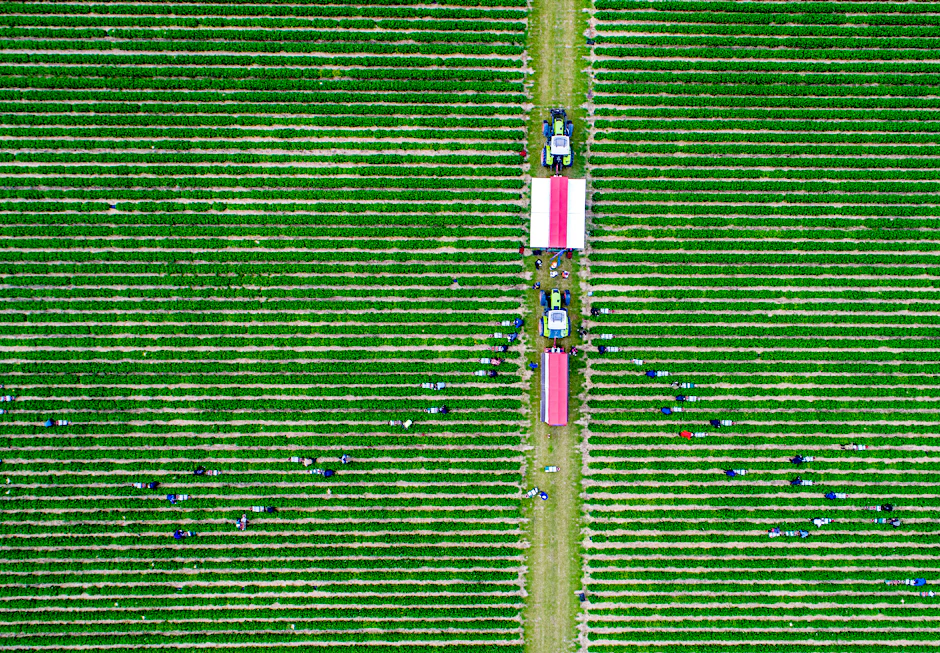 Wer kann wann welchem Landwirt helfen? Angebot und Nachfrage sollen in Zukunft digital gesteuert werden. Das hat die Initiative Erntehelfer vor.