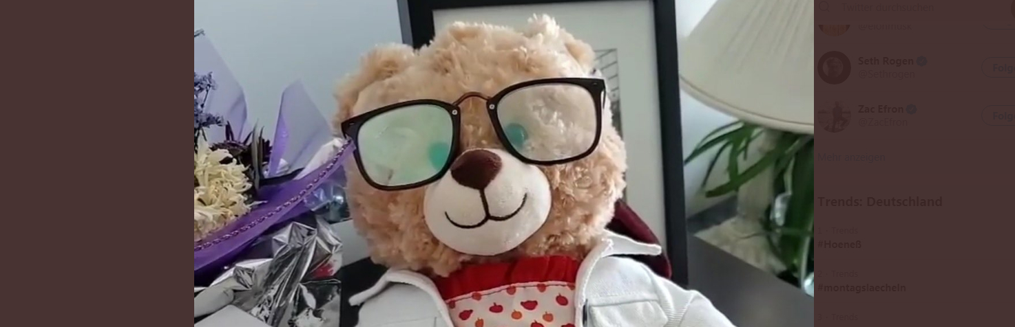 Image - Ryan Reynolds bietet hohen Finderlohn - für gestohlenen Teddy