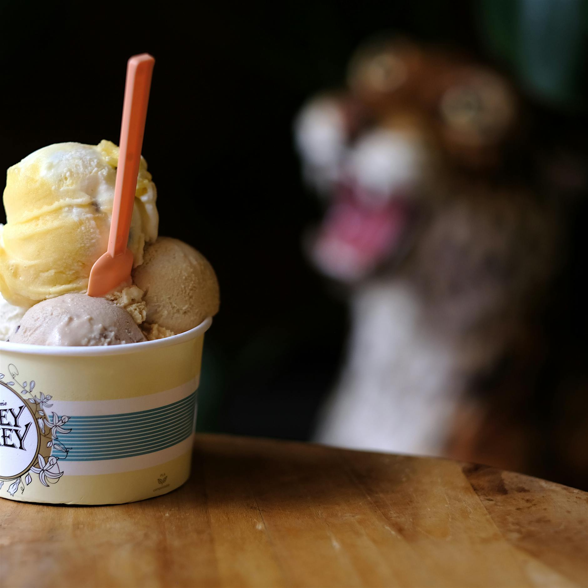 Hokey Pokey: Eis zum Dahinschmelzen