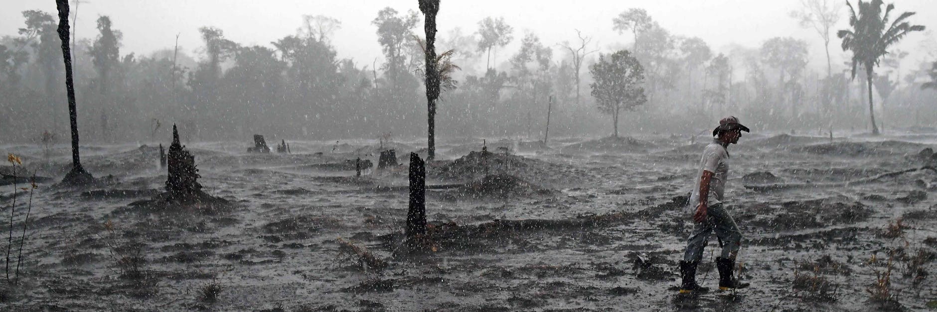 Ein Farmer läuft über eine abgebrannte Fläche im Amazonas-Regenwald. Landbesitzer, Spekulanten und Bauern legen absichtlich Feuer, dehnen so illegal ihre Flächen aus.