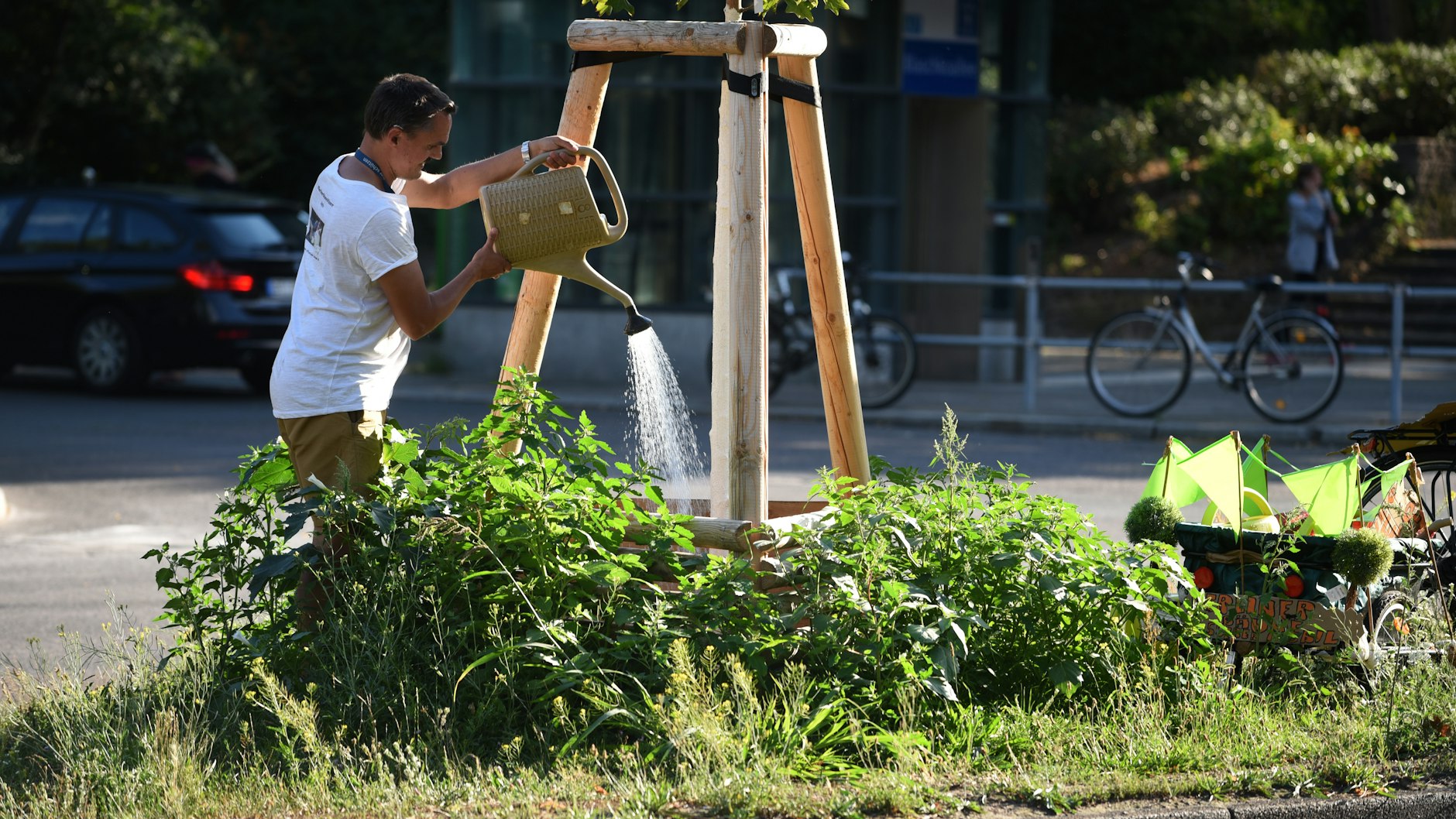 Sebastian Haße gießt eine ganz junge Japanische Hopfenbuche auf dem Mittelstreifen einer viel befahrenen Straße in Neukölln. 