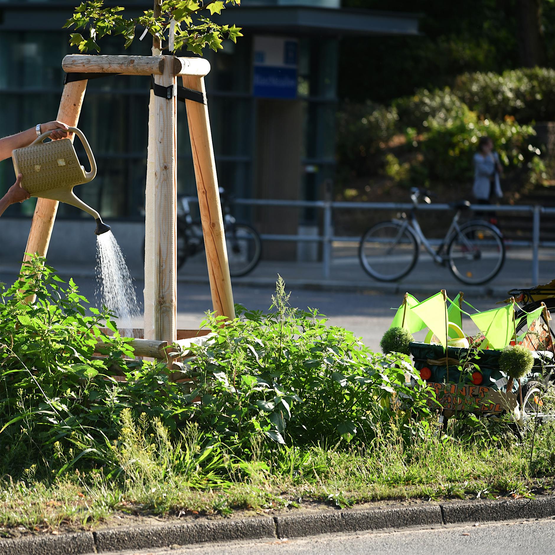 Die Baum-Retter mit Internetanschluss