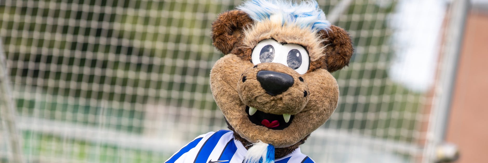 Herthino versucht sich jetzt als Gesangskünstler.