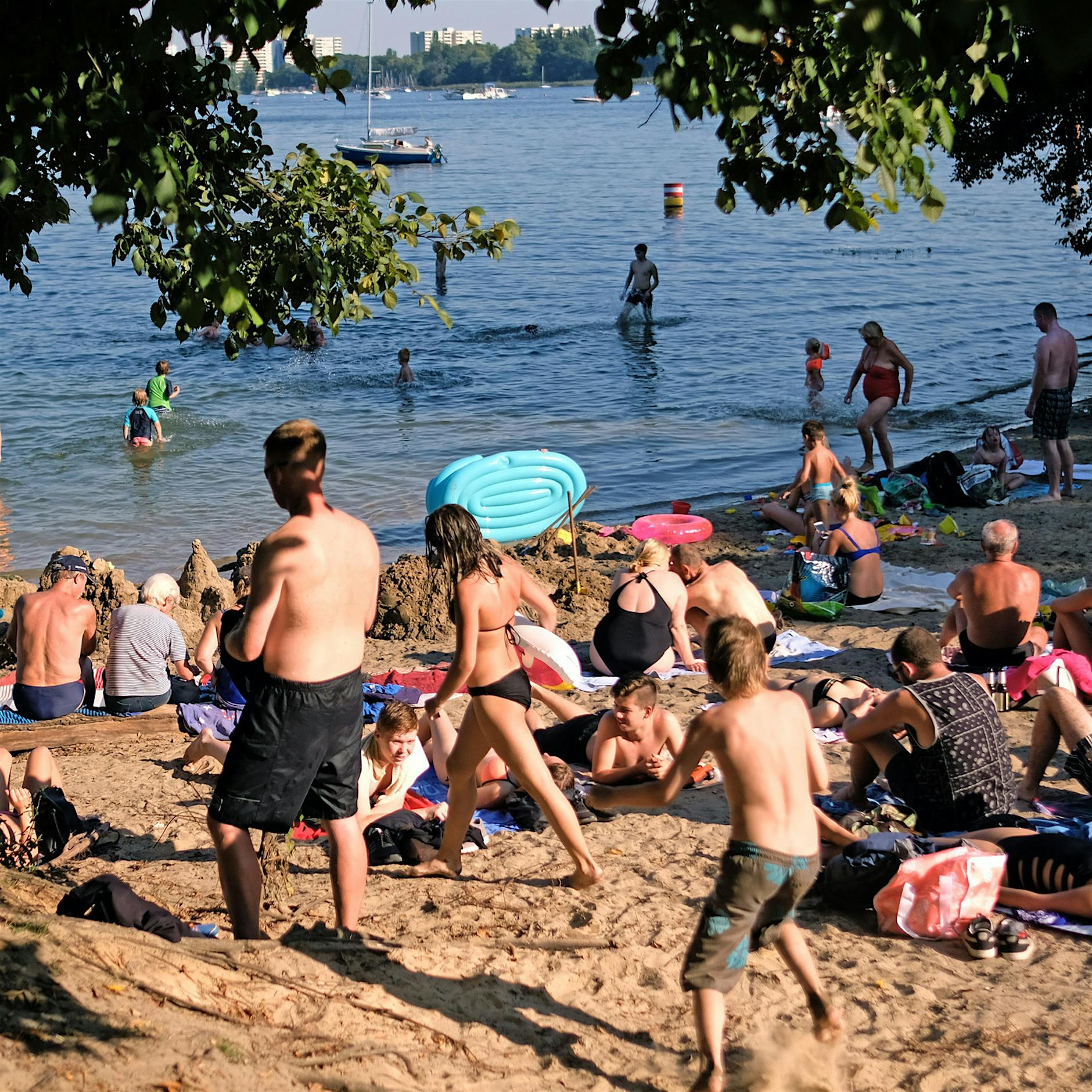 Badeseen in Berlin: Warnung vor Blaualgen und Zerkarien