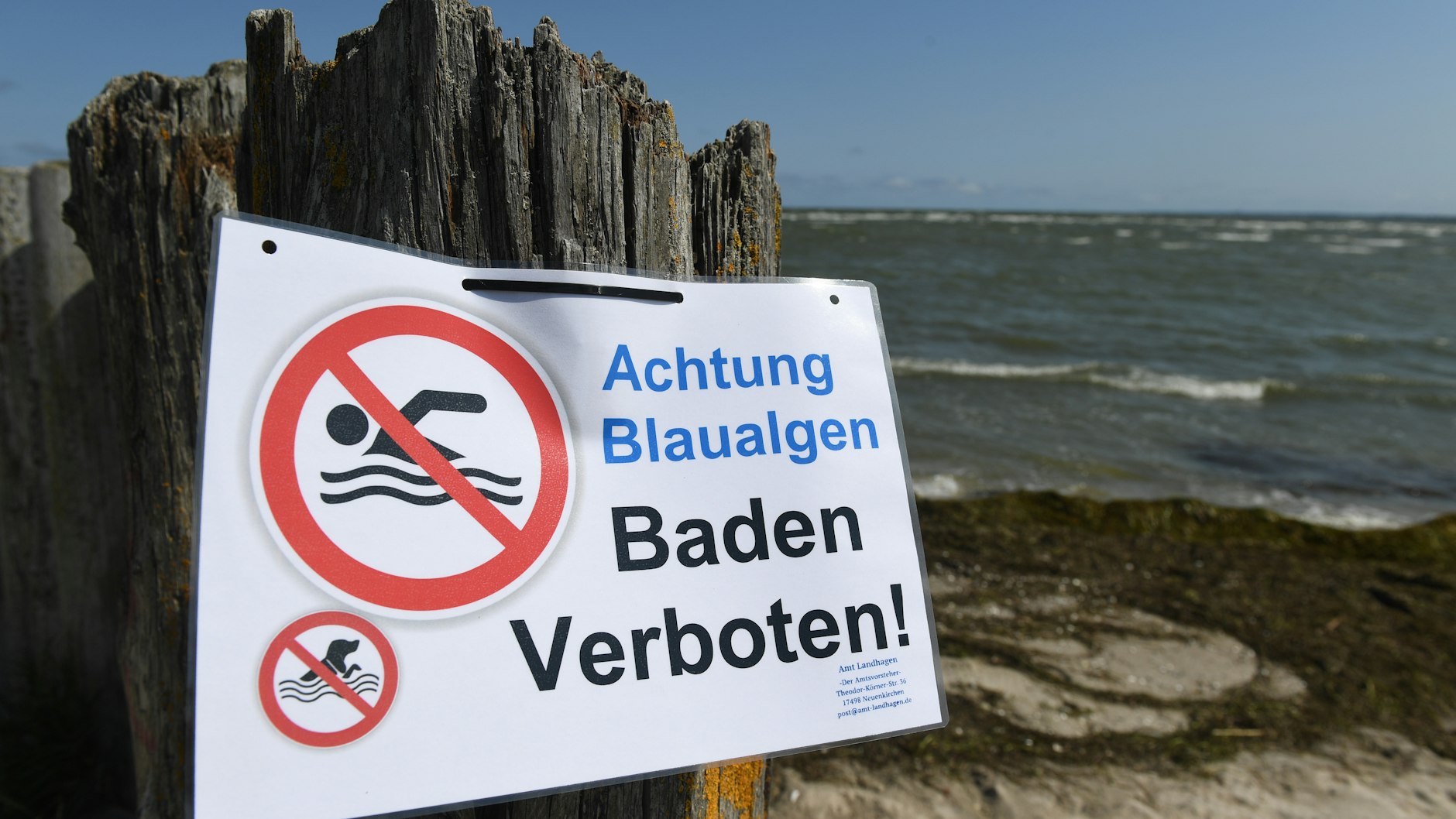 Ein Hinweisschild verbietet am Bodden bei Wampen (Landkreis Vorpommern-Greifswald) das Baden, weil sich dort Blaualgen gebildet haben.&nbsp;&nbsp;