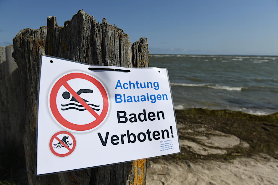Ein Hinweisschild verbietet am Bodden bei Wampen (Landkreis Vorpommern-Greifswald) das Baden, weil sich dort Blaualgen gebildet haben.&nbsp;&nbsp;