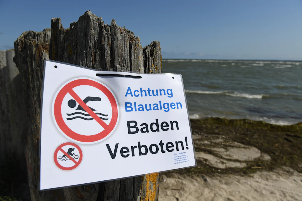 Ostsee: Behörden sperren weitere Strände wegen Blaualgen