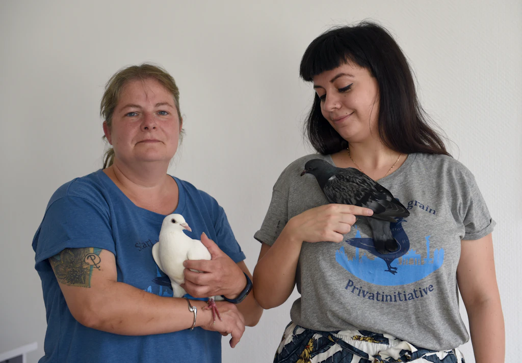Ein Herz für die „Ratten der Lüfte“