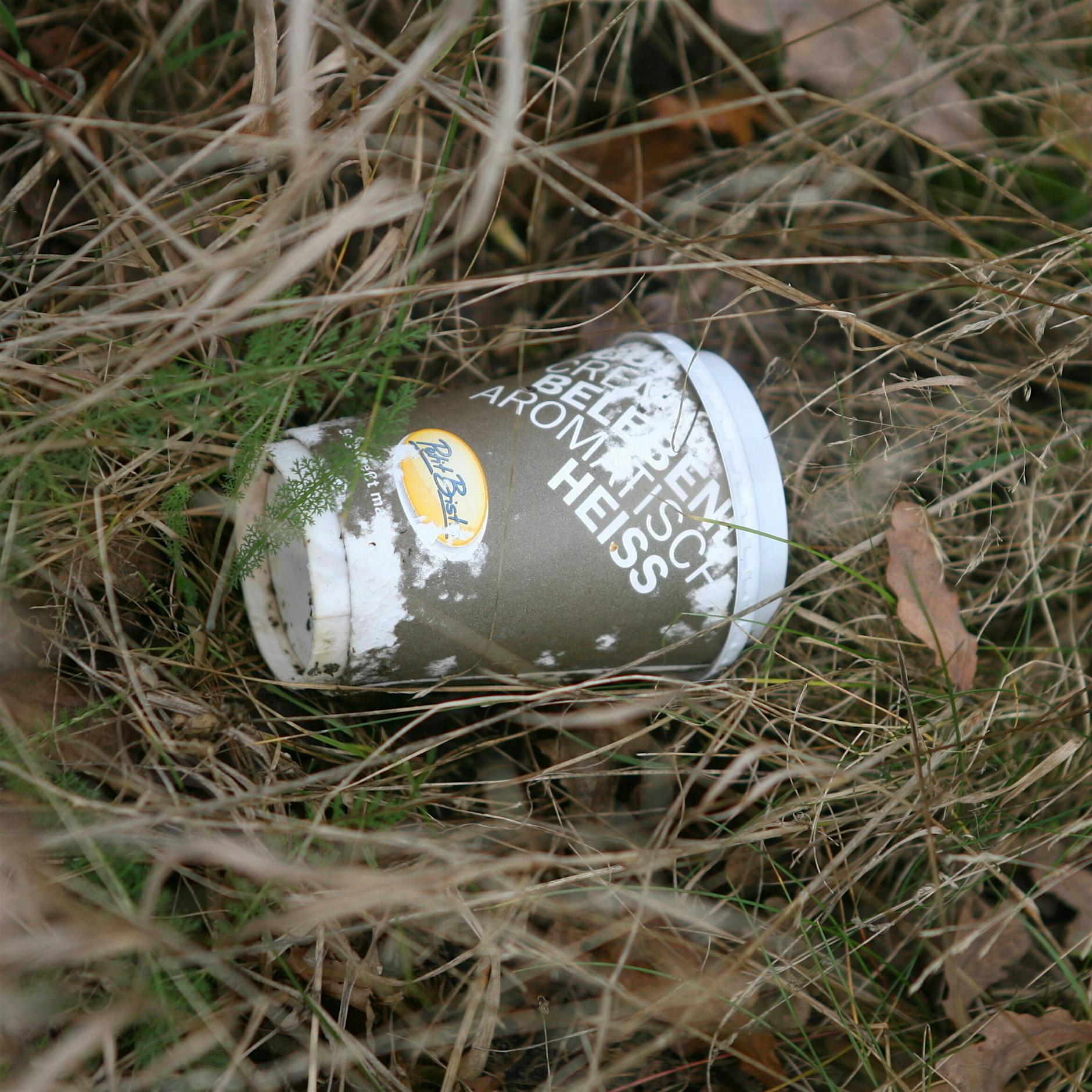 Hersteller sollen für Beseitigung von Kippen und To-go-Bechern zahlen