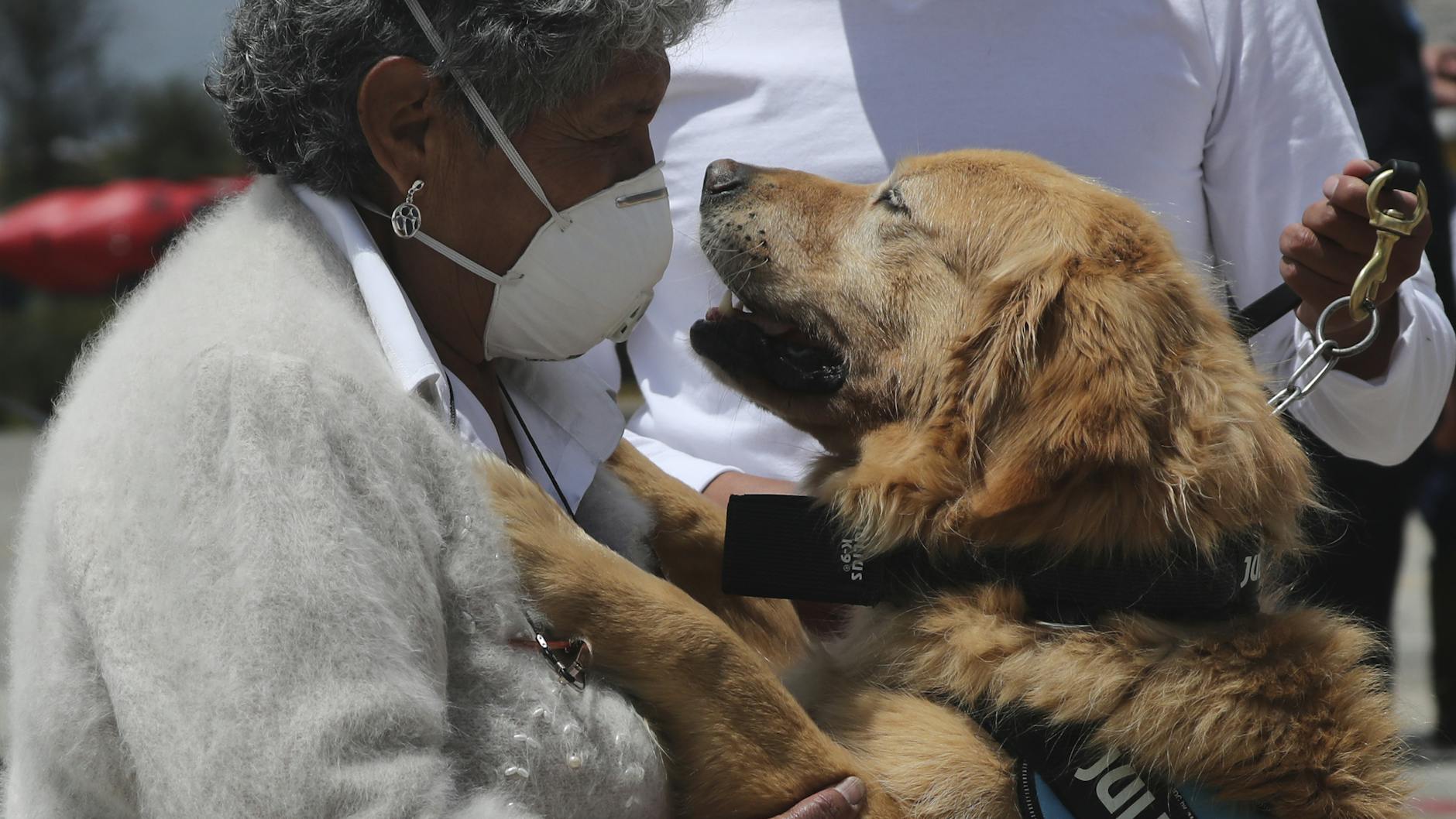 Ein Polizeihund begrüßt in Quito seine neue Besitzerin während einer Zeremonie der K-9-Polizeieinheit. 