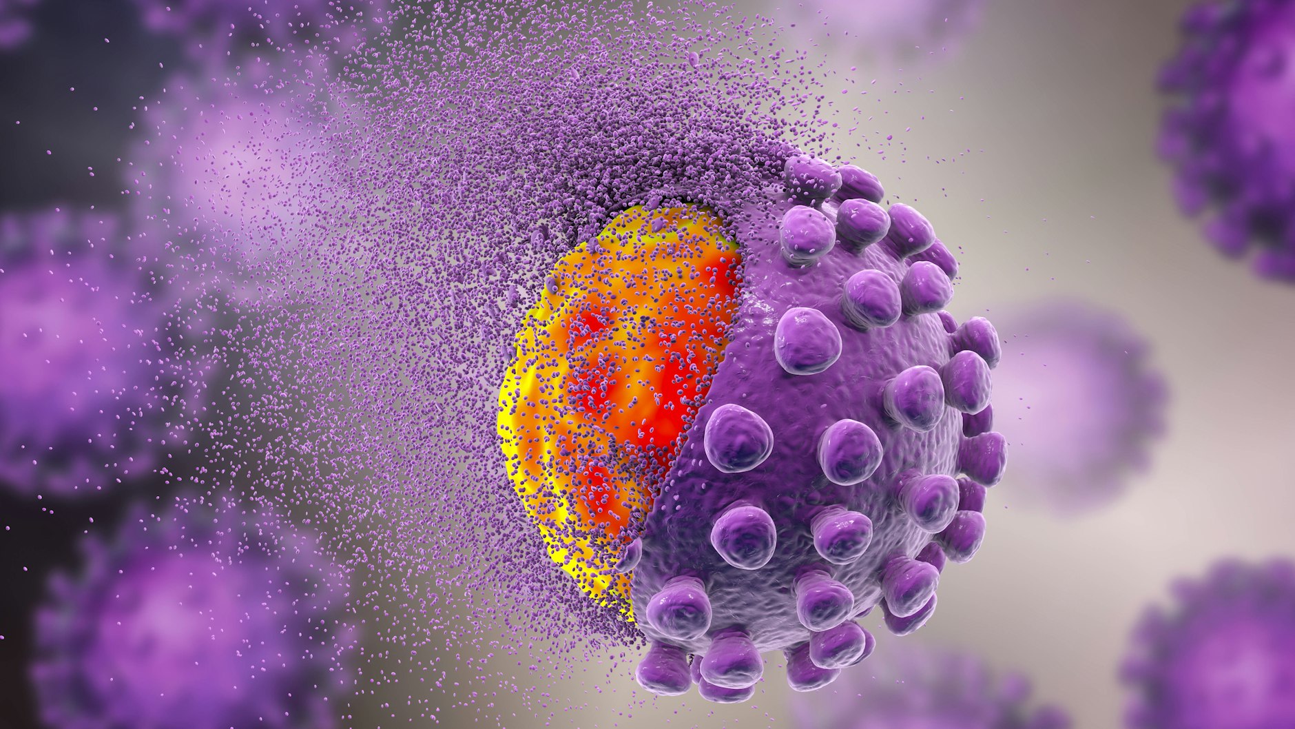 Das Coronavirus.