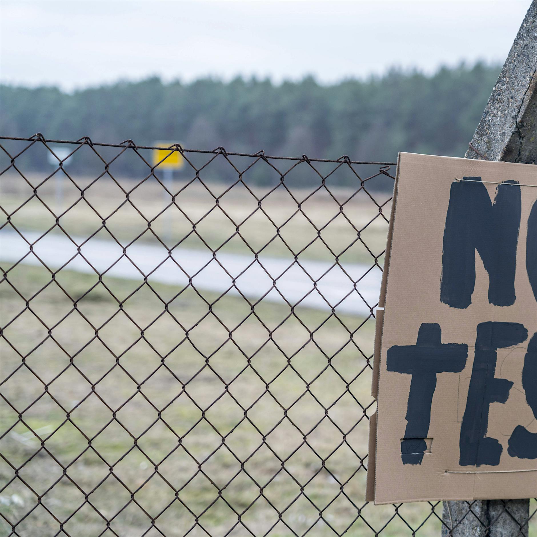 Brandenburg's absurd romance with Elon Musk