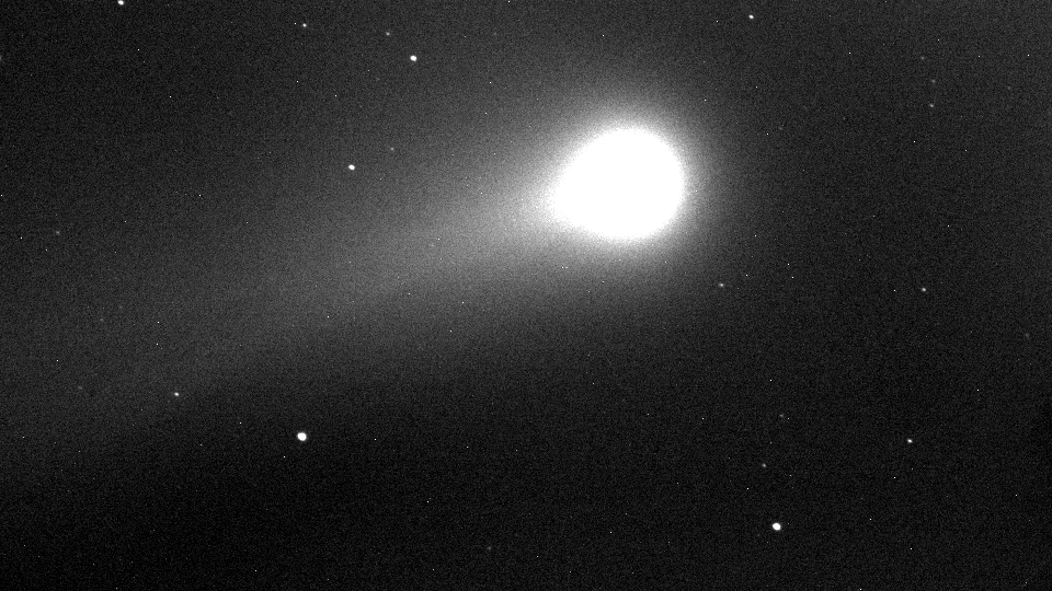 Anderssons Aufnahme des Kometen&nbsp;C/2020F3 (Neowise). Der Kernbereich ist etwas überbelichtet, dafür ist ein Teil des Schweifs gut zu sehen.