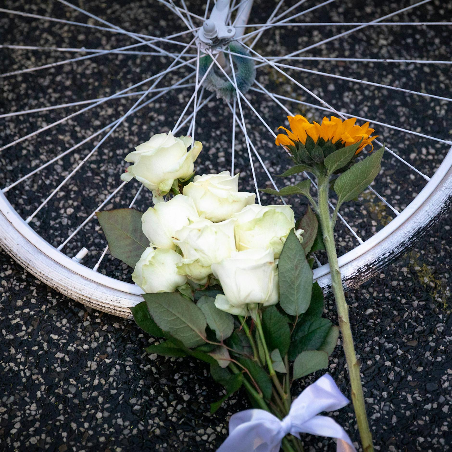 14 cyclists killed so far this year