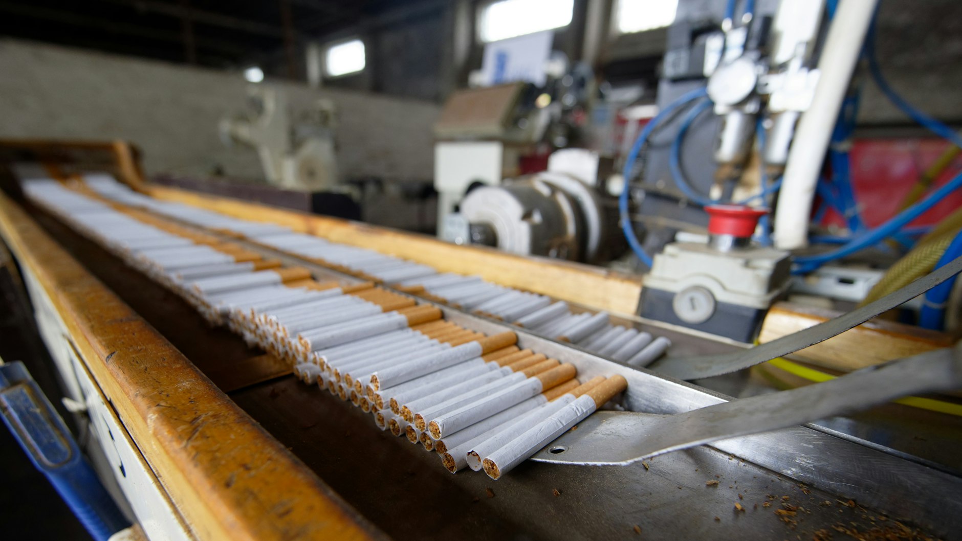 In der illegalen Fabrik wurden Millionen Zigaretten produziert.&nbsp;