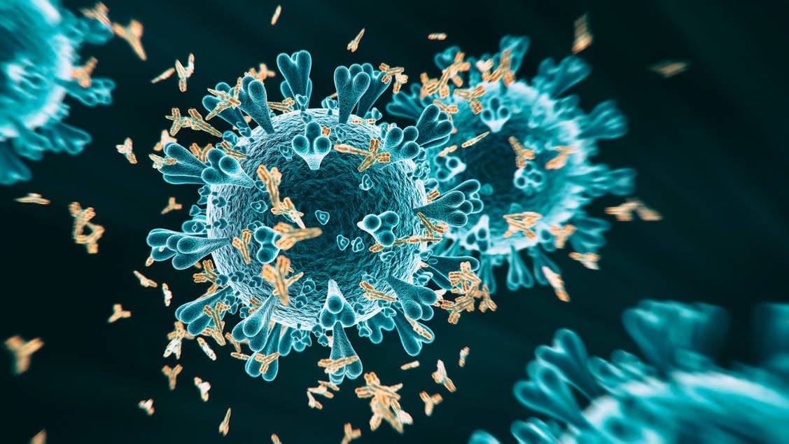 Coronavirus SARS-CoV-2.
Corona, Virus, Simulation