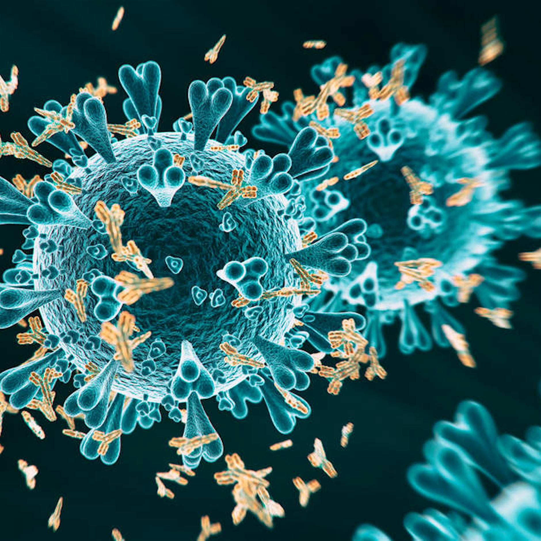 Charité-Epidemiologe: Lockdown ist überzogen