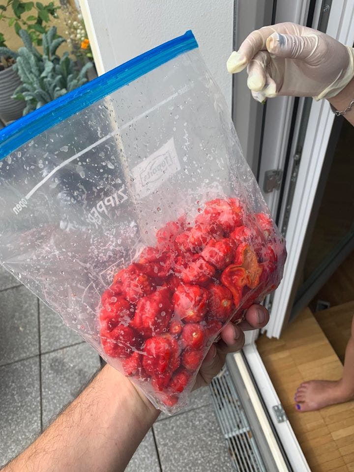 The first batch.