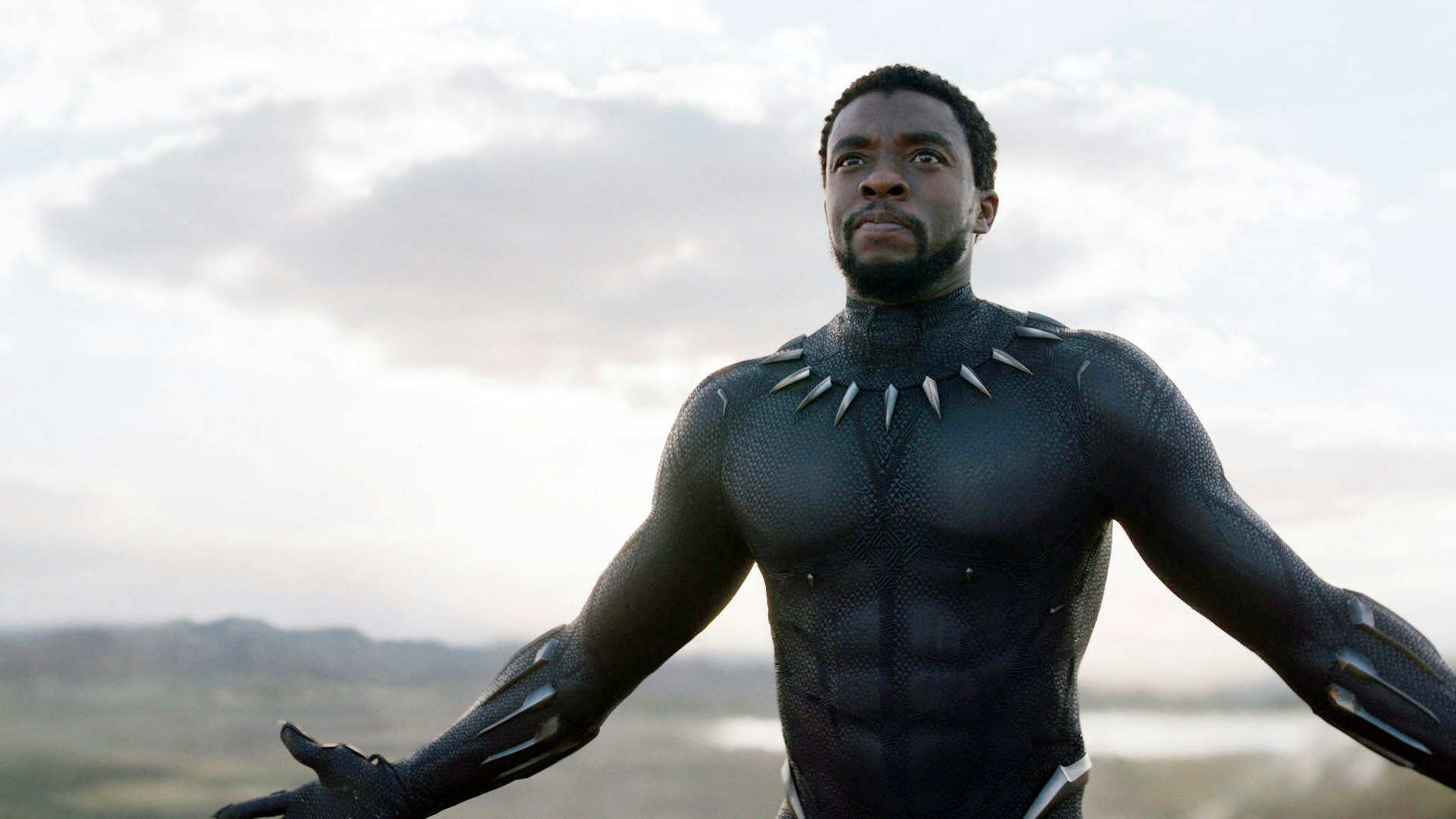 Chadwick Boseman in seiner viel beachteten Rolle als Black Panther.&nbsp;