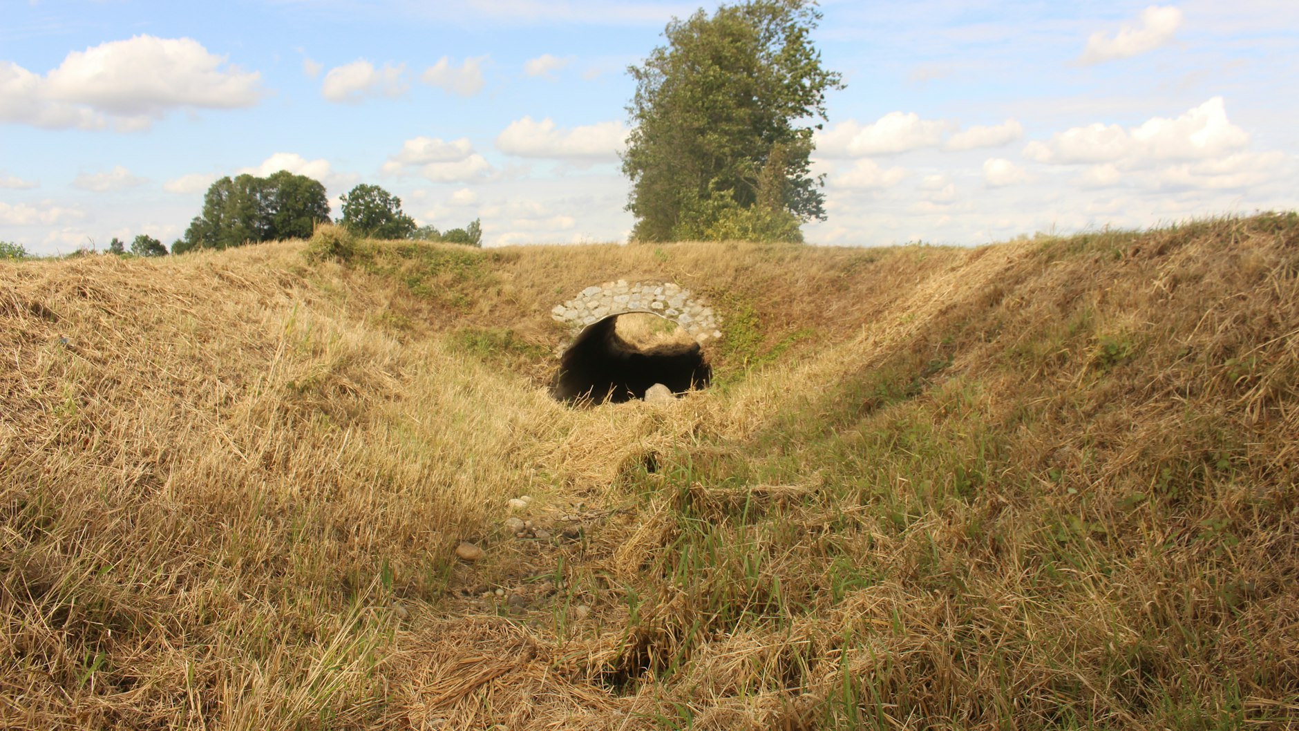 Ausgetrockneter Bach im Demnitzer Mühlenfließ in Brandenburg.