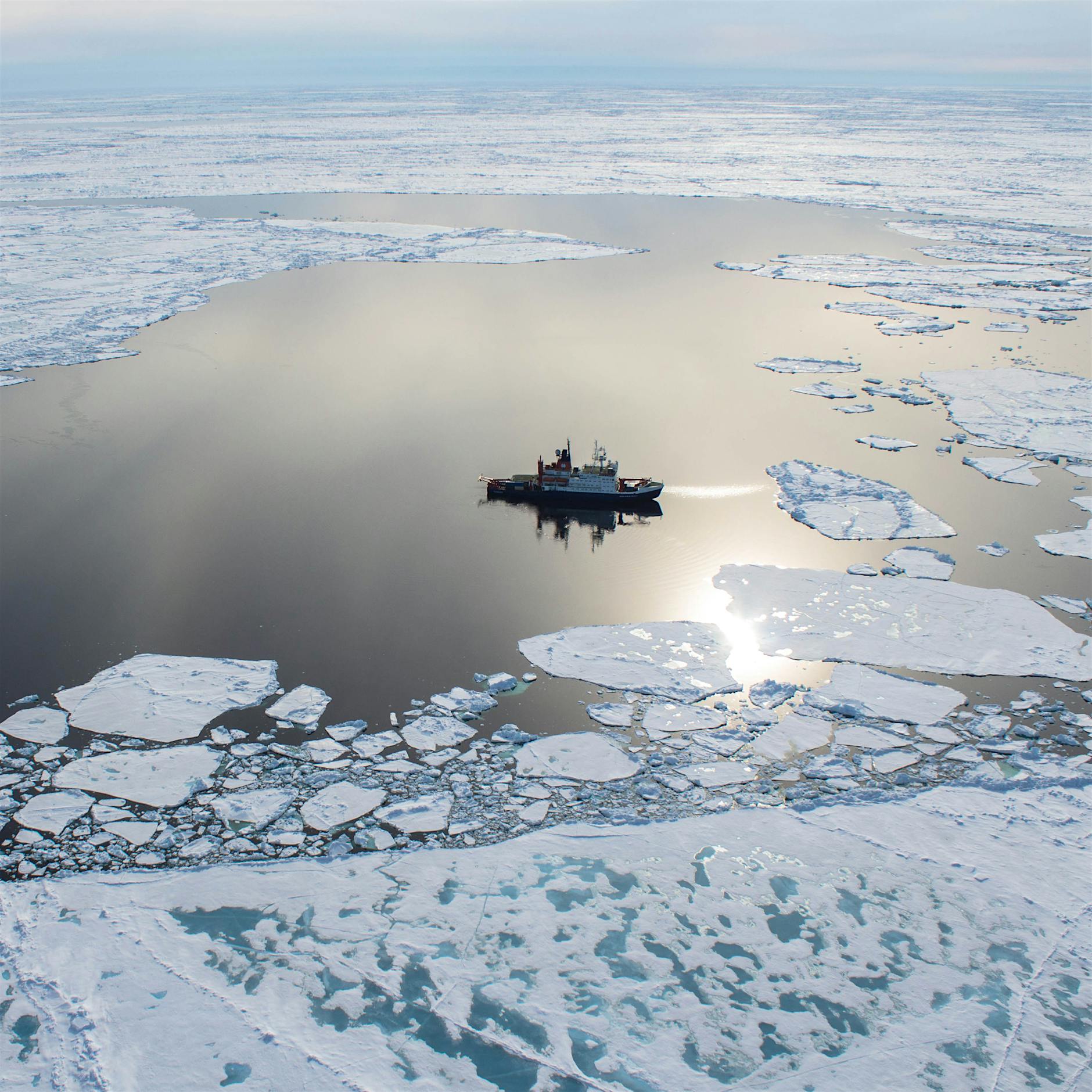 Bedenkliche Industriechemikalien im arktischen Ozean nachgewiesen